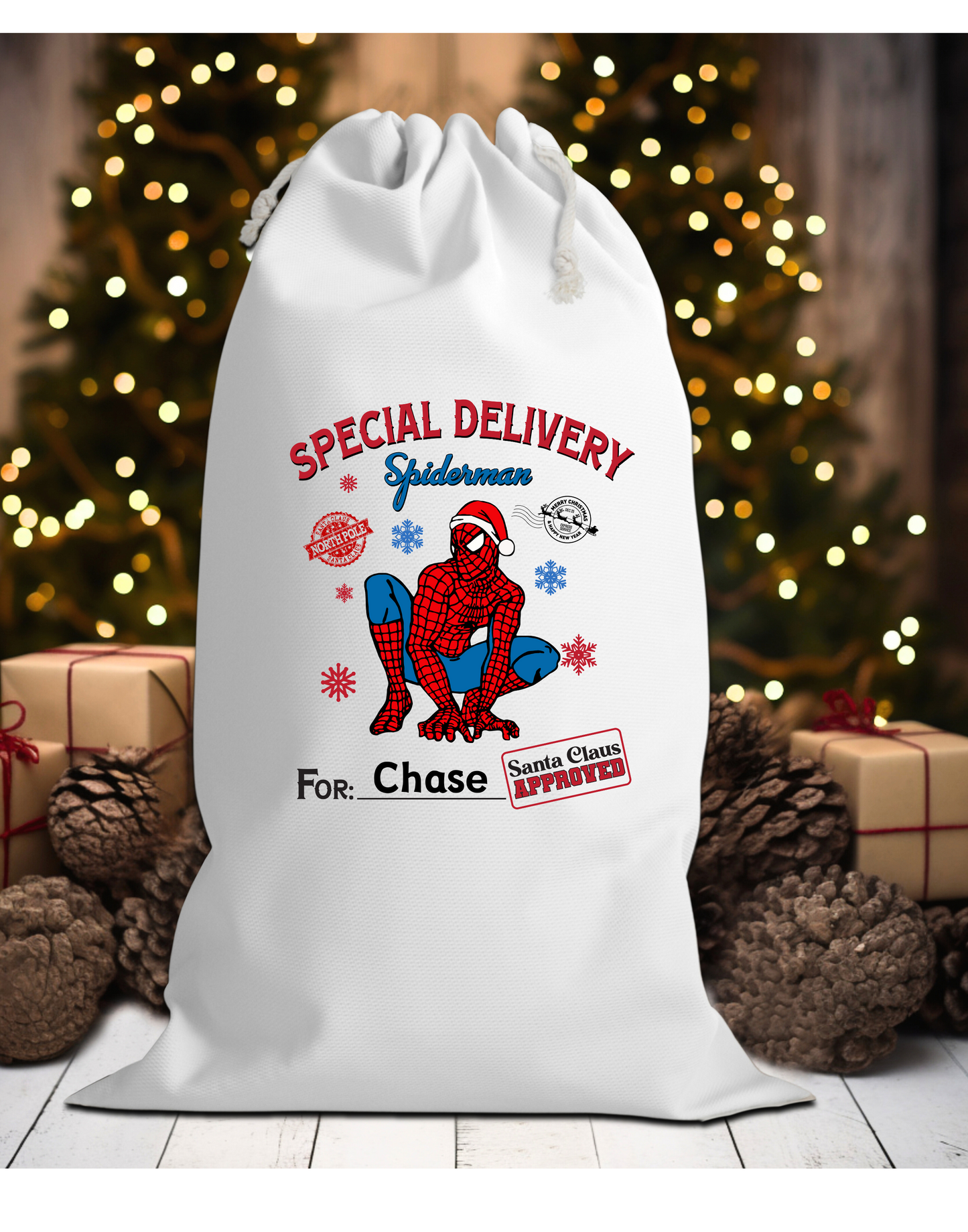 Santa Personalized Sacks - spiderman
